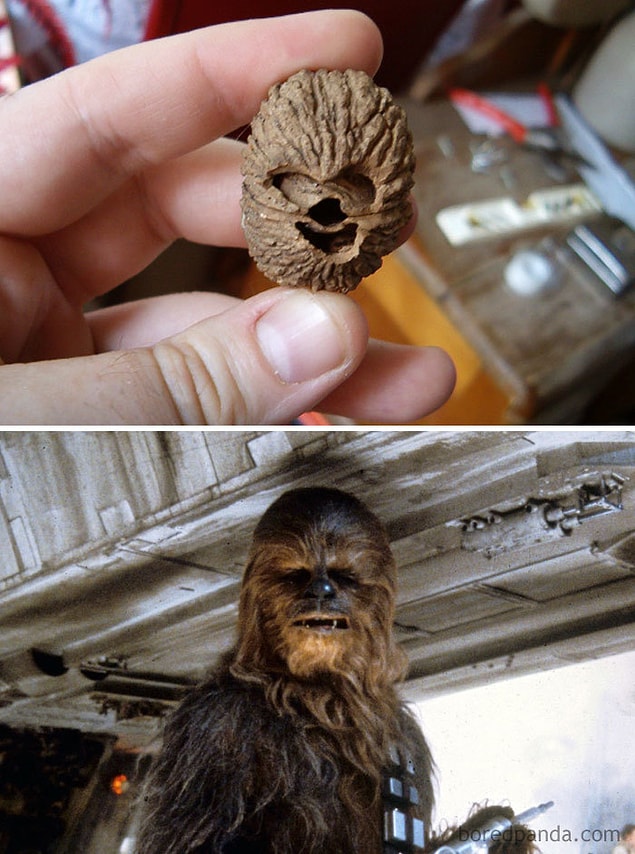 4. Vefalı ve delikanlı Chewbacca...