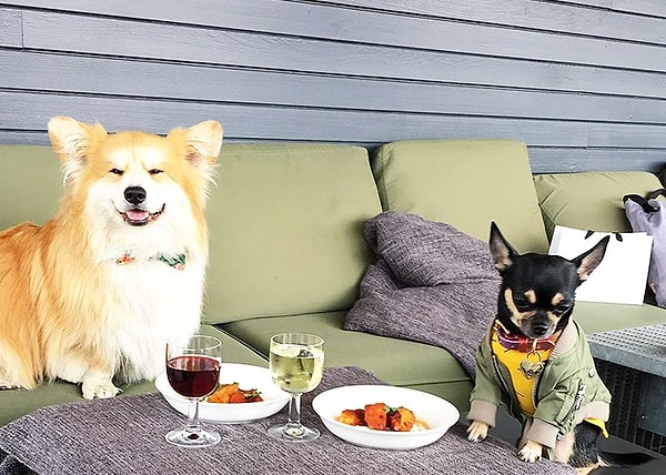 10. Интересно, им уже можно пить алкоголь?