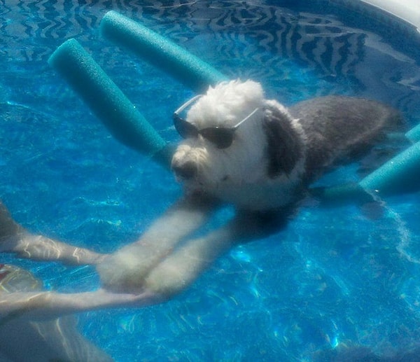 12. Ну не мочить же волосы сразу после парикмахерской!