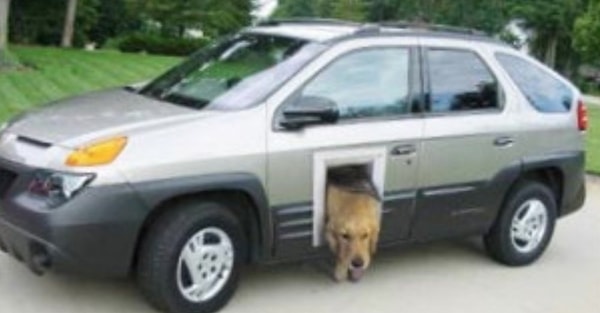 9. Или я дурак, или лыжи не едут. А просто открыть дверь собаке не судьба?