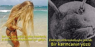 Çok Az Kişinin Bildiği Bu 15 Enteresan Bilgiyi Okudukça "Vay Be!" Diyeceksiniz