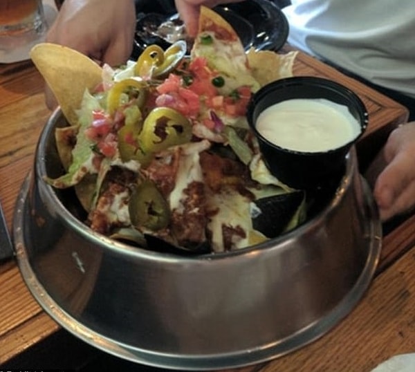 10. Вы всегда хотели почувствовать себя собакой? Да? Ну, тогда вам прямиком в этот ресторан, который сервирует начос в собачьей миске!