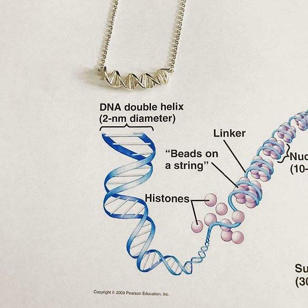 15. DNA