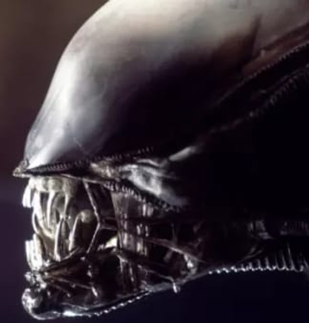 11. Yaratık filmindeki yartığın ilk modelinde gerçek bir insan kafatası kullanılmıştı. Tasarım tabi ki ünlü sanatçı H.R Giger'a aitti fakat kafatasını nereden bulduğunu asla açıklamadı.