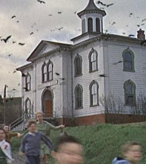 13. Hitchcock klasiği Kuşlar filmindeki ev gerçekten perili bir evmiş. Evin sakinleri geceleri ayak sesleri ve çocuk gülüşmeleri duyduğunu iddia ediyor.