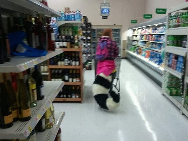 15. Почему только животные должны быть хвостатыми?