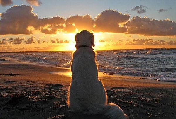 10. Вы будете жалеть о том, что были слишком занятыми, чтобы ценить жизнь