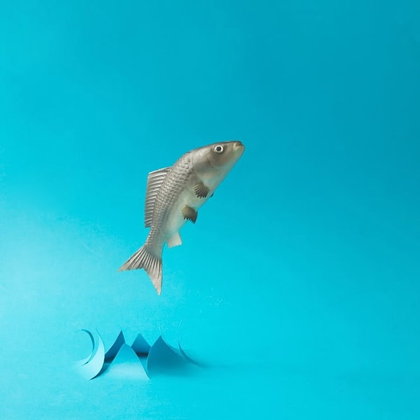 12. Отсутствие хоть какого-нибудь представления о том, чего вы хотите от жизни