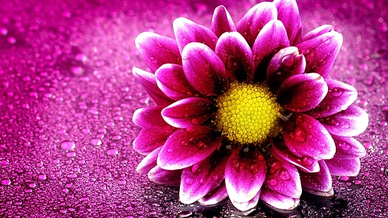 Beğendiğin Çiçeklere Göre Melek misin Şeytan mı?