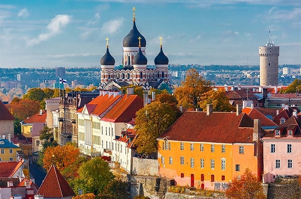 12. Эстония. Около 24,5% населения страдает от ожирения. А количество потребляемого алкоголя в год на душу населения составляет 12,8 л.