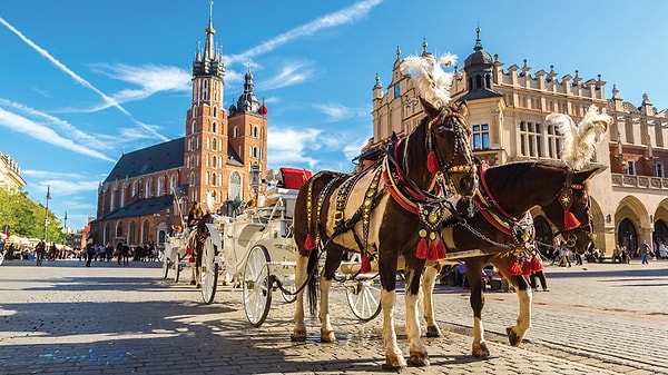 8. Польша. В среднем каждый житель выкуривает 1369 сигарет и выпивает 12,3 л алкоголя.