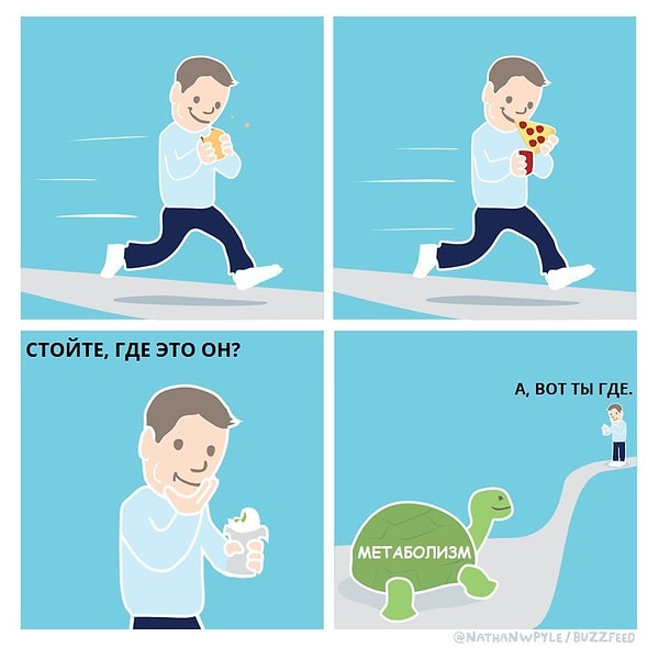 9. Метаболизм он такой