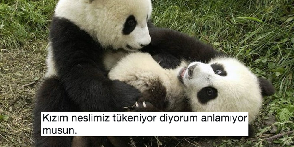 Hayvanları Konuşturarak Kahkaha Tufanı Yaratan 23 Postmodern La Fontaine