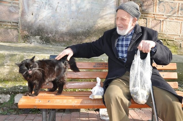 9. Hayat sizden birçok şeyi aldığında, hayvanlar yeniden umut olabilir.