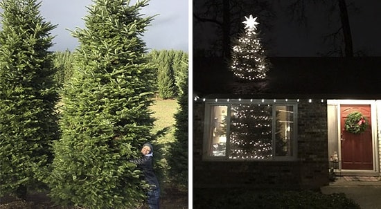 12 гениев троллинга, которые заставят вас смеяться до упаду