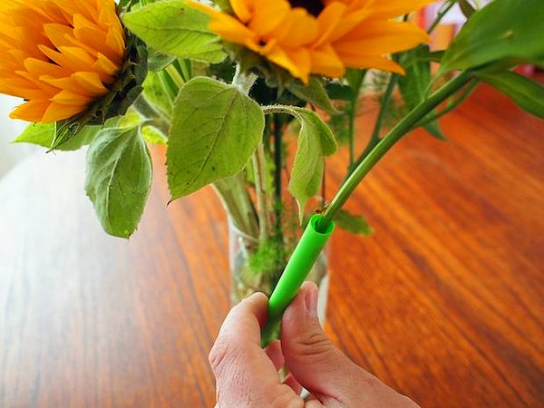2. Sert pipetlerle zayıf gövdeli çiçekleri destekleyerek çiçekleri düzeltin.