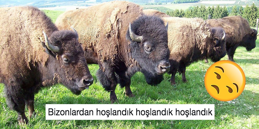 Yaratıcılıkta Zirveye Çıkarak Yaptığı Esprilerle Soğuk Duş Etkisi Yaratan 18 Kişi