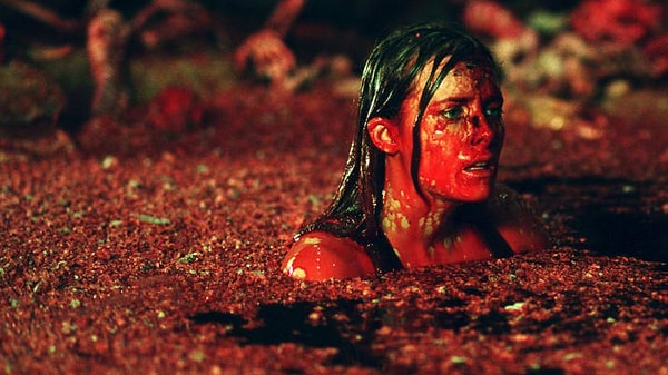 29. The Descent/Cehenneme Bir Adım (2005)