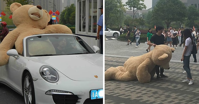 Парень на Porsche попытался завоевать девушку с помощью гигантского медведя