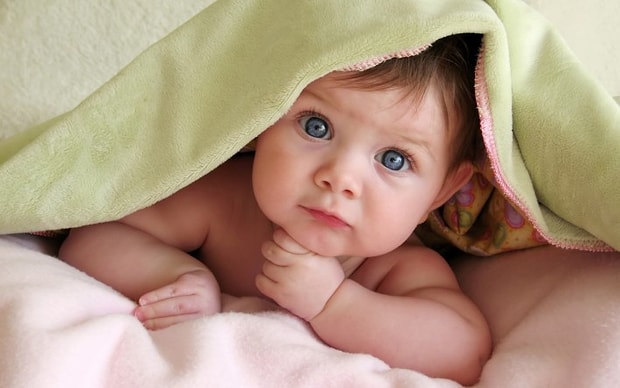 Minik Bebekler