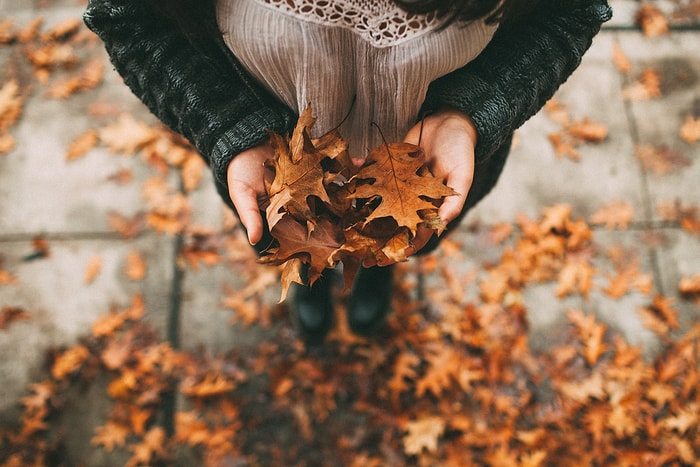 Yaptığın Sonbahar Dekorasyonuna Göre 2018'de Nereye Gideceğini Söylüyoruz!