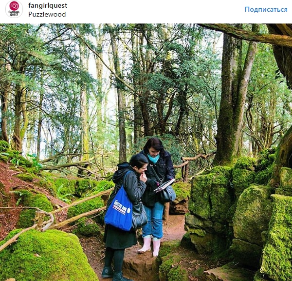 4. "Звёздные войны: Пробуждение Силы" - Пазлвуд, лес Дин, Англия