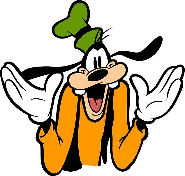 13. Walt Disney aslında Goofy karakterinden ve çizgi dizisinden nefret ediyormuş, fakat bu karakter üzerinden para kazanan yapım ekibi ekmeğinden olmasın diye yapımı sürdürmüş.