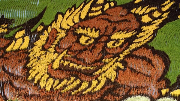 3. Когда же дизайн будущего рисунка доработан, на полях устанавливают маркеры, чтобы создать полную схему раскраски. Более тысячи местных добровольцев собираются каждый год, чтобы помочь в процессе посадки.Весь процесс может занимать до трёх месяцев.