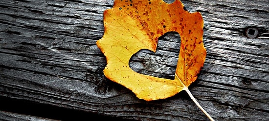 Bu Sonbahar Hayatının Aşkını Bulma İhtimalini Söylüyoruz!