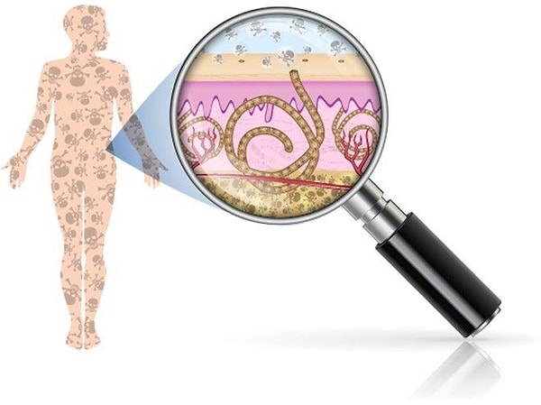 1. Наш организм отравляет множество токсинов.
