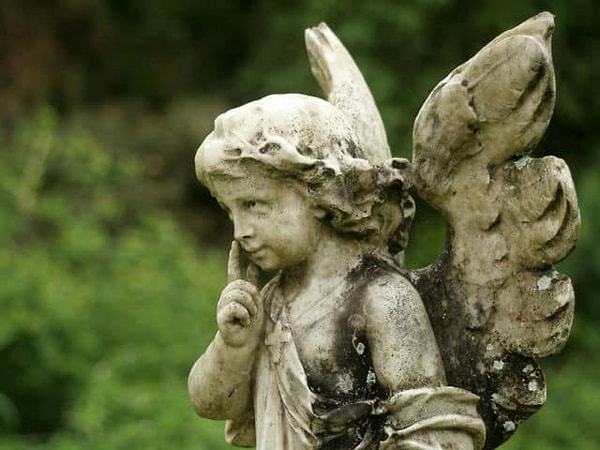 9. Вы считаете себя интровертом или экстравертом?