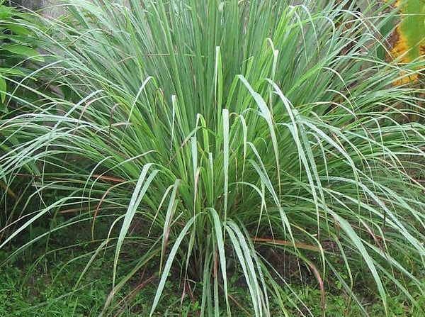 6. Что же это может быть?