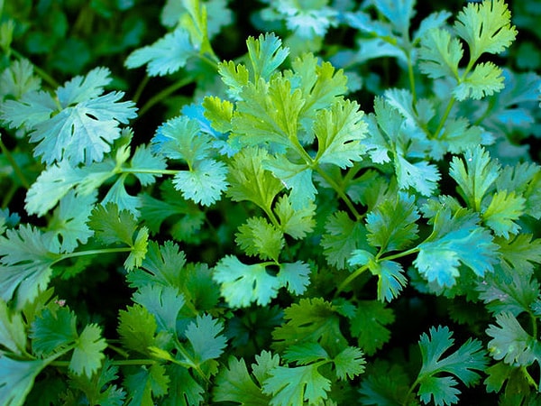 9. Продолжаем угадывать: