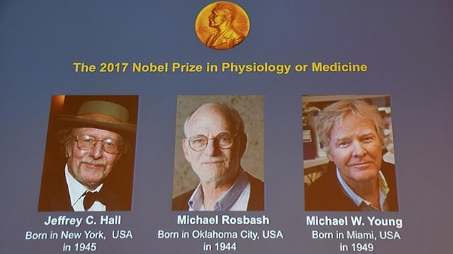 2017 Nobel Tıp Ödülü'nün bu seneki sahipleri Jeffrey C. Hall, Michael Rosbash ve Michael W. Young oldu.