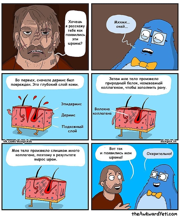 19. Знаешь, откуда у меня эти шрамы?