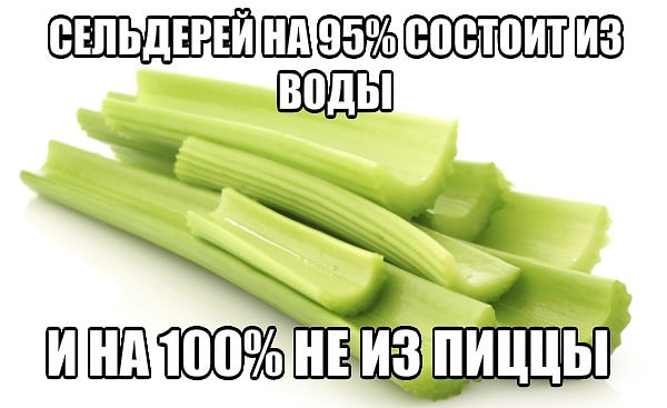 9. Полезные факты о сельдерее