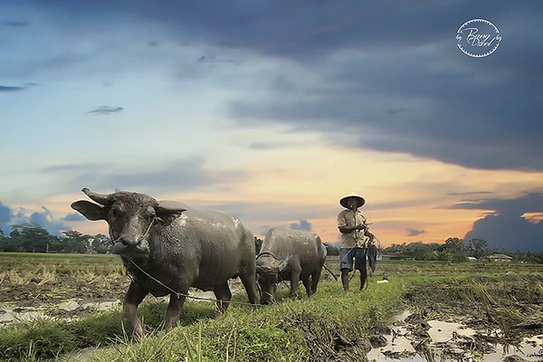 4. Зулкарнайн снимает как прекрасные пейзажи...