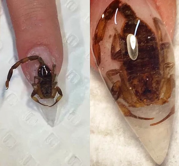 6. Маникюр с мертвыми насекомыми. Это отвратительно!