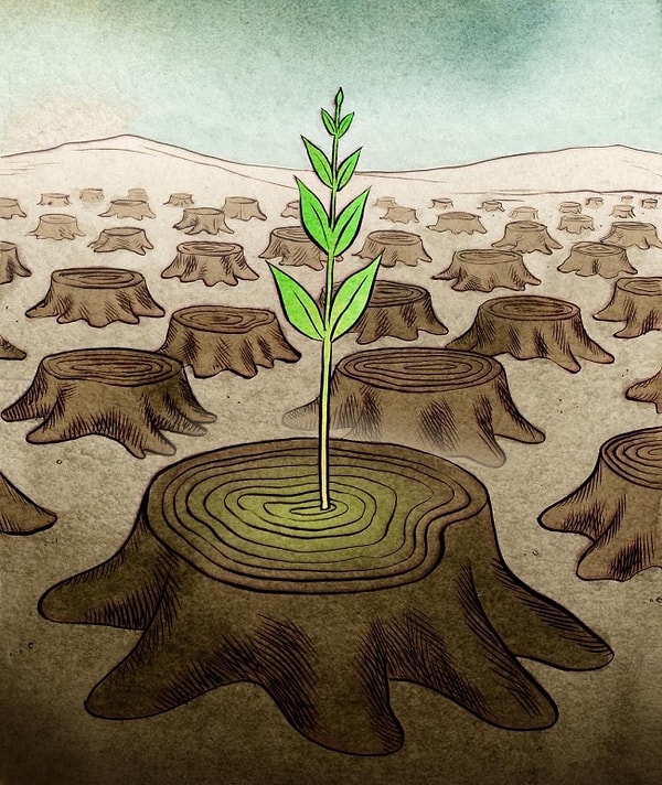 16. Последняя надежда 🌿