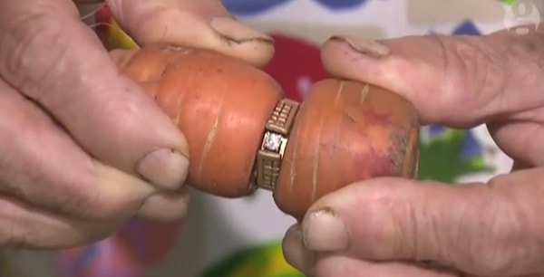 Недавно кольцо было обнаружено вместе с морковкой, которая не совсем удобно для нее самой проросла сквозь него.