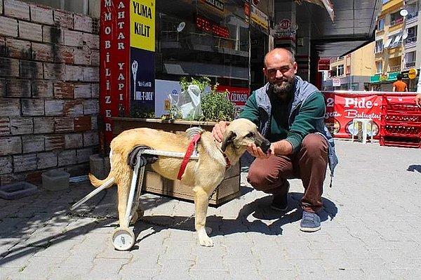 2. "İzmir'de sakatlanan köpeğe, internetten öğrenerek kendi imkanlarıyla yürüteç yapan altın kalpli esnaf abimiz."