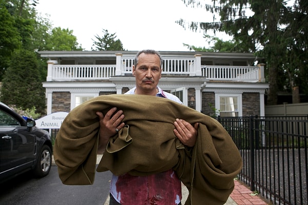 25. Поздние фазы