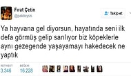 Bir Gün Değil Her Gün! Hayvanları Koruma Günü'nde İçinizi Isıtacak 17 Paylaşım 🐾