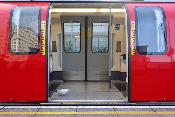 19. Londra metrosunun ikonik 'vagon ve platform arasındaki boşluğa dikkat edin' anonsu.
