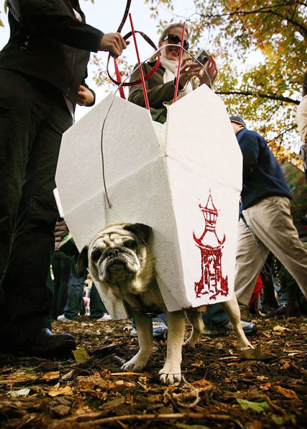 22. Китайский фаст-фуд