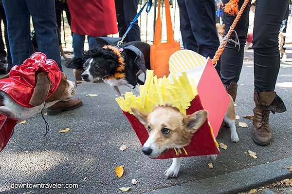 27. Картошка фри