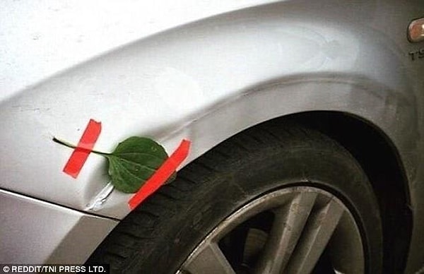 5. Всё излечит подорожник, друзья! ☘️