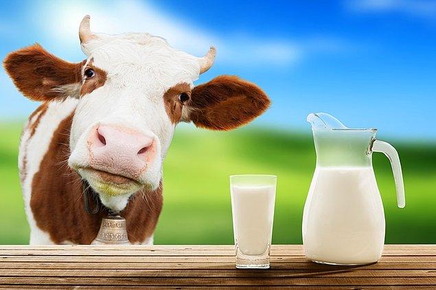 2. Süt ve süt ürünleri tüketimine dikkat etmek lazım.