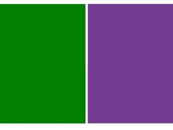 1. Итак, эти цвета присутствуют на одежде...?