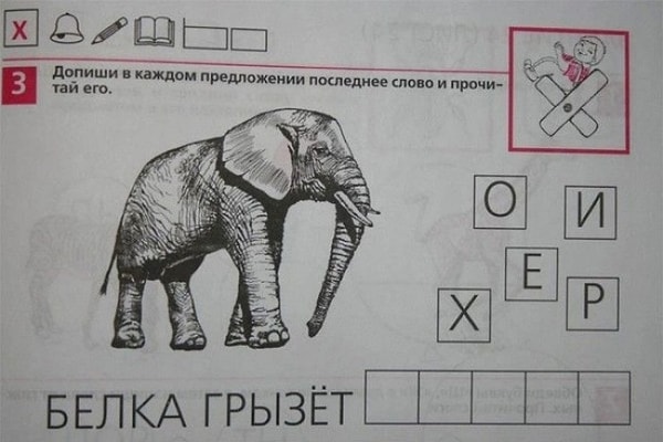 1. Какая необычная белочка!